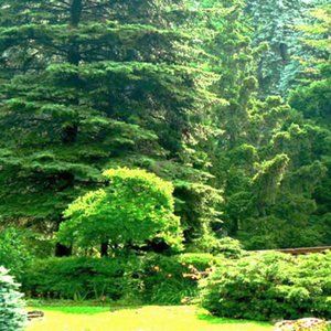 Meet your Posher, Marie